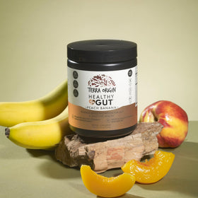 TERRA ORIGIN Healthy Gut Pêche Banane poudre dans un verre