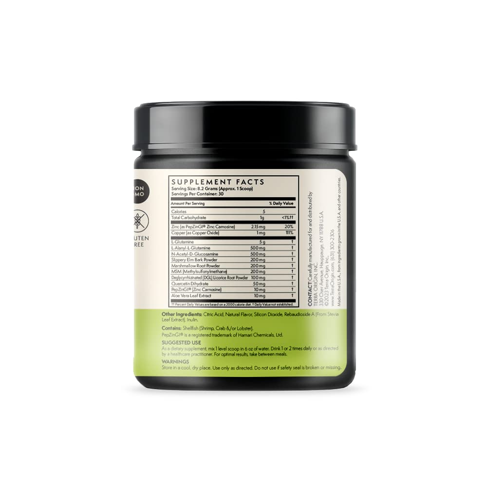 TERRA ORIGIN Healthy Gut Poudre 320g avec cuillère doseuse