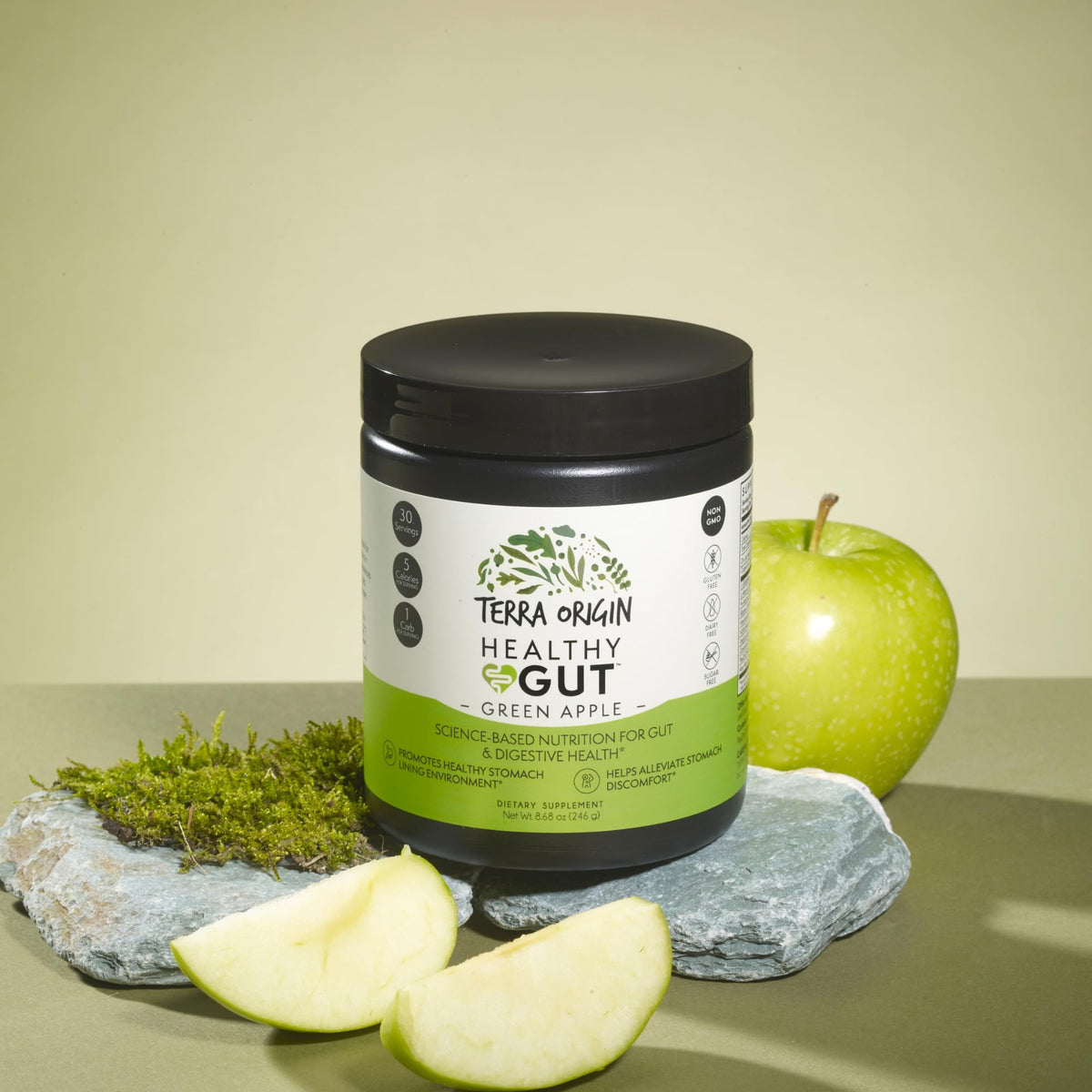TERRA ORIGIN Healthy Gut Poudre 320g étiquette et ingrédients