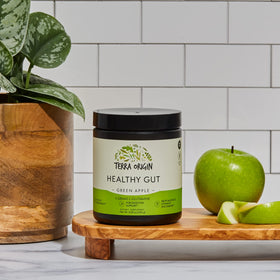 TERRA ORIGIN Healthy Gut Poudre 320g vue de dessus