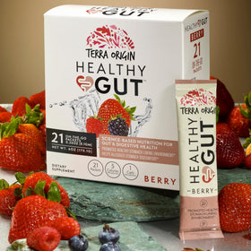 TERRA ORIGIN Healthy Gut Stick Pack individuel avec L-Glutamine