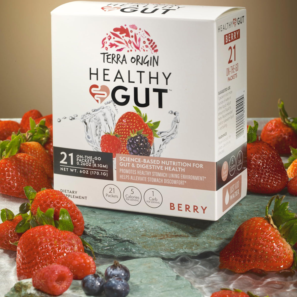 TERRA ORIGIN Healthy Gut Stick Packs affichage des ingrédients