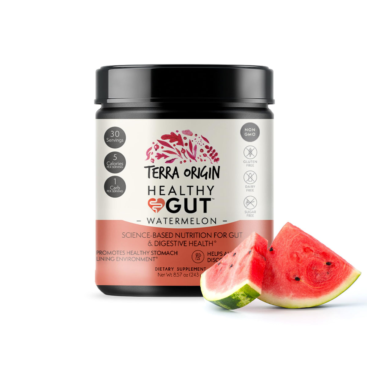 TERRA ORIGIN Healthy Gut Watermelon packaging front view
