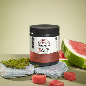 TERRA ORIGIN Healthy Gut Watermelon powder in a glass