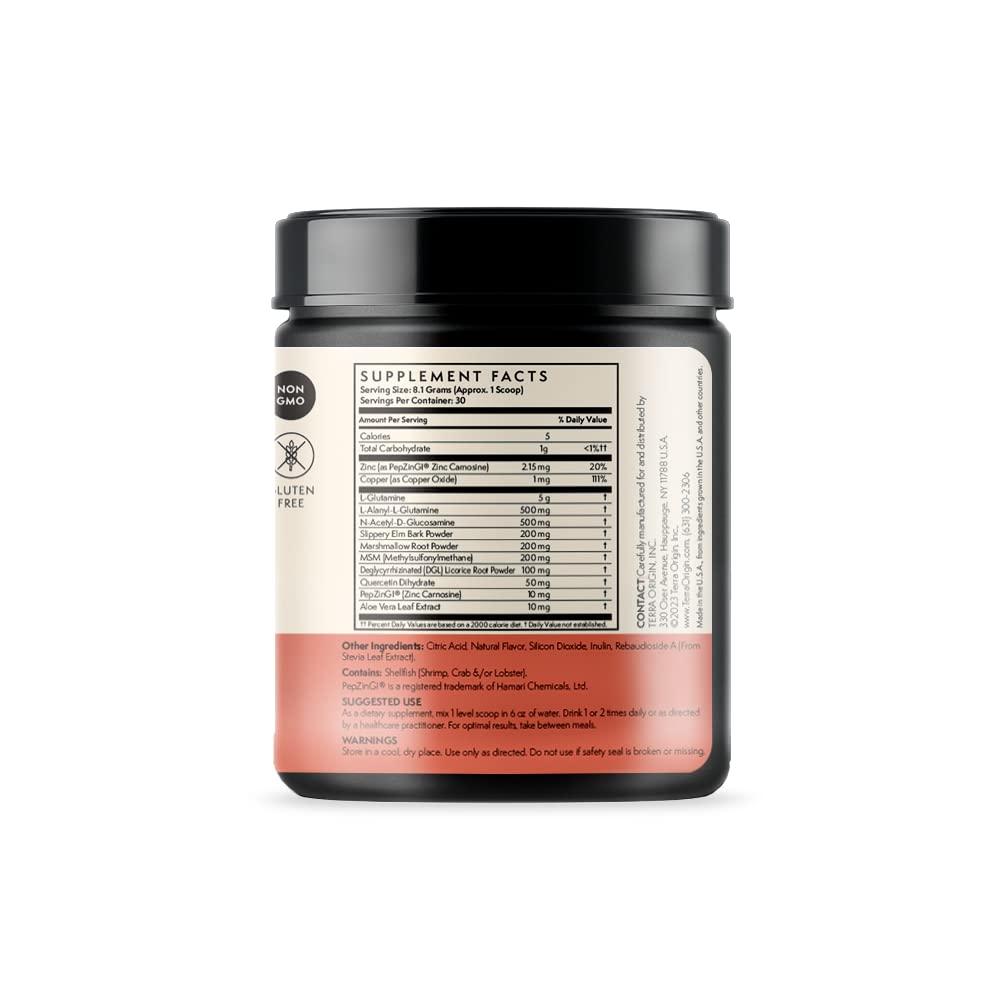 TERRA ORIGIN Healthy Gut Watermelon powder scoop