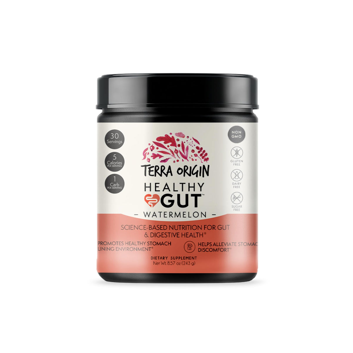 TERRA ORIGIN Healthy Gut Watermelon powder texture