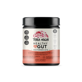 TERRA ORIGIN Healthy Gut Watermelon powder texture