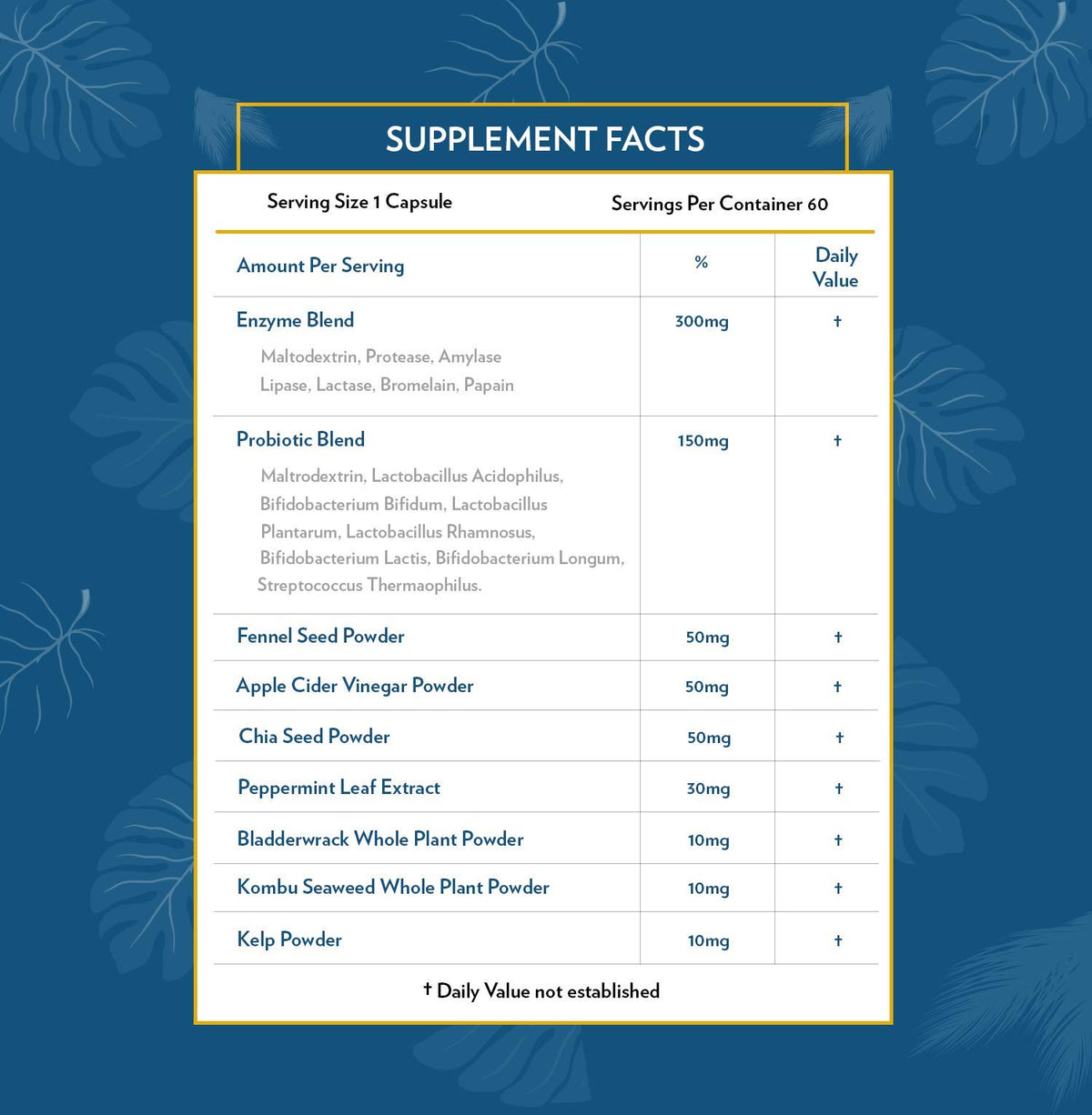 TERRA ORIGIN Multi-Enzymes capsules sur fond blanc