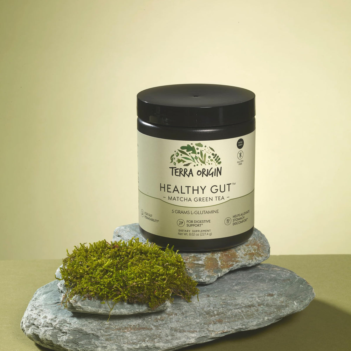 TERRA ORIGIN Poudre Healthy Gut 30 Portions - ingrédients