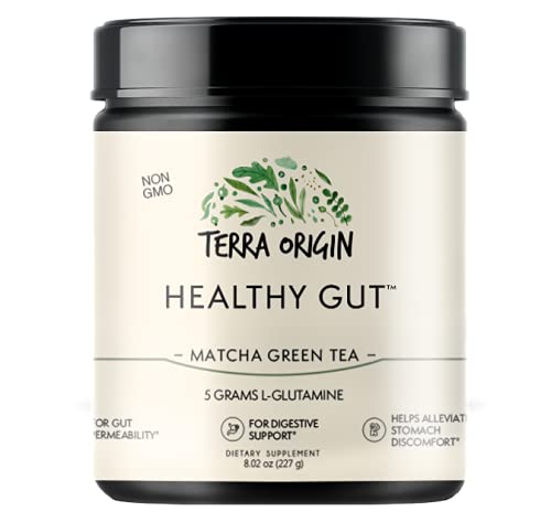 TERRA ORIGIN Poudre Healthy Gut 30 Portions - présentation sur une table