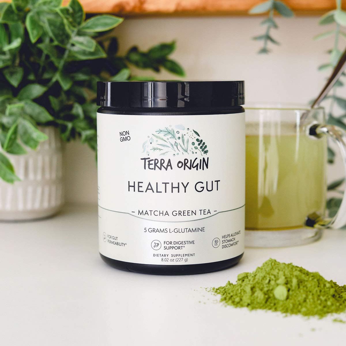 TERRA ORIGIN Poudre Healthy Gut 30 Portions - utilisation
