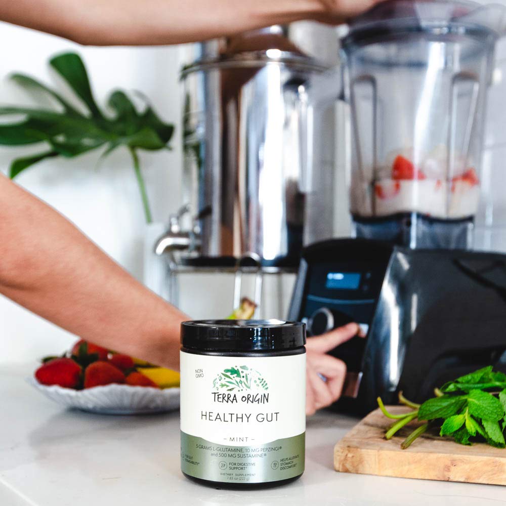 TERRA ORIGIN Poudre Healthy Gut Menthe 30 Portions étiquette des ingrédients