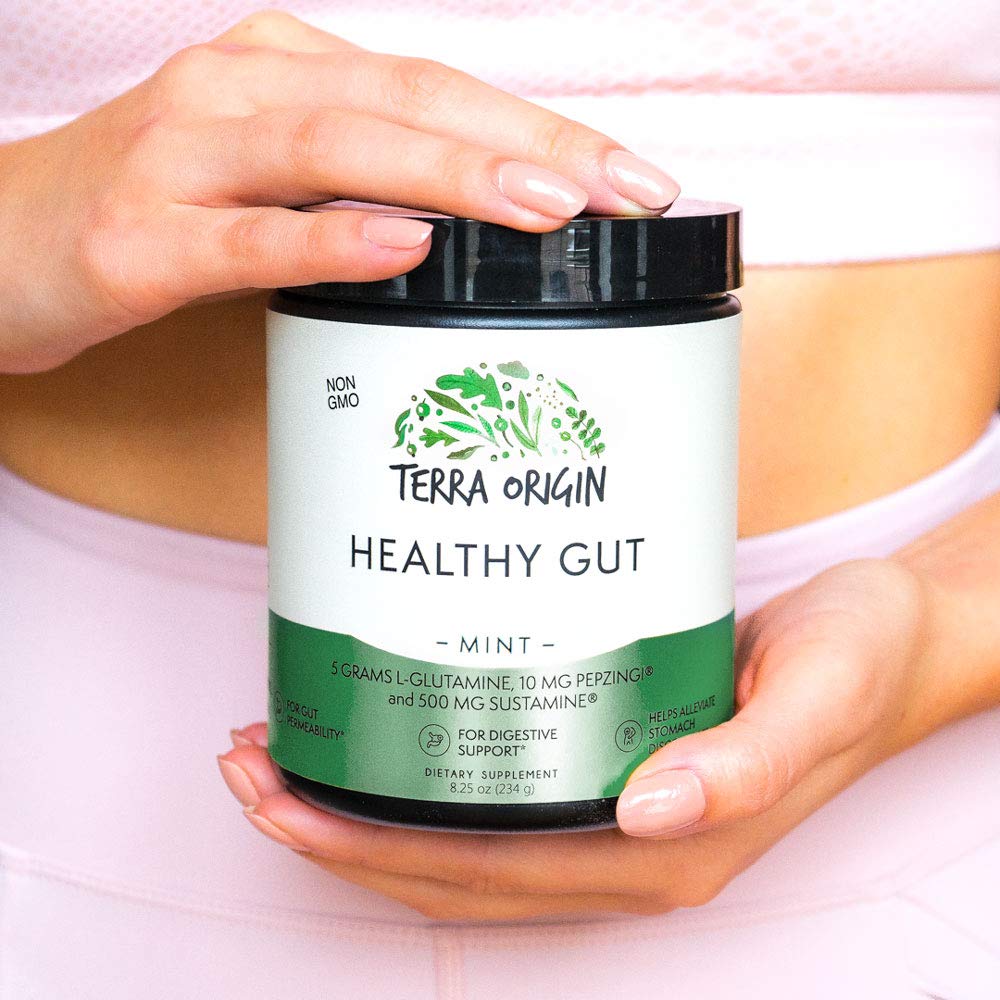 TERRA ORIGIN Poudre Healthy Gut Menthe 30 Portions ingrédients principaux