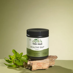 TERRA ORIGIN Poudre Healthy Gut Menthe 30 Portions vue de côté