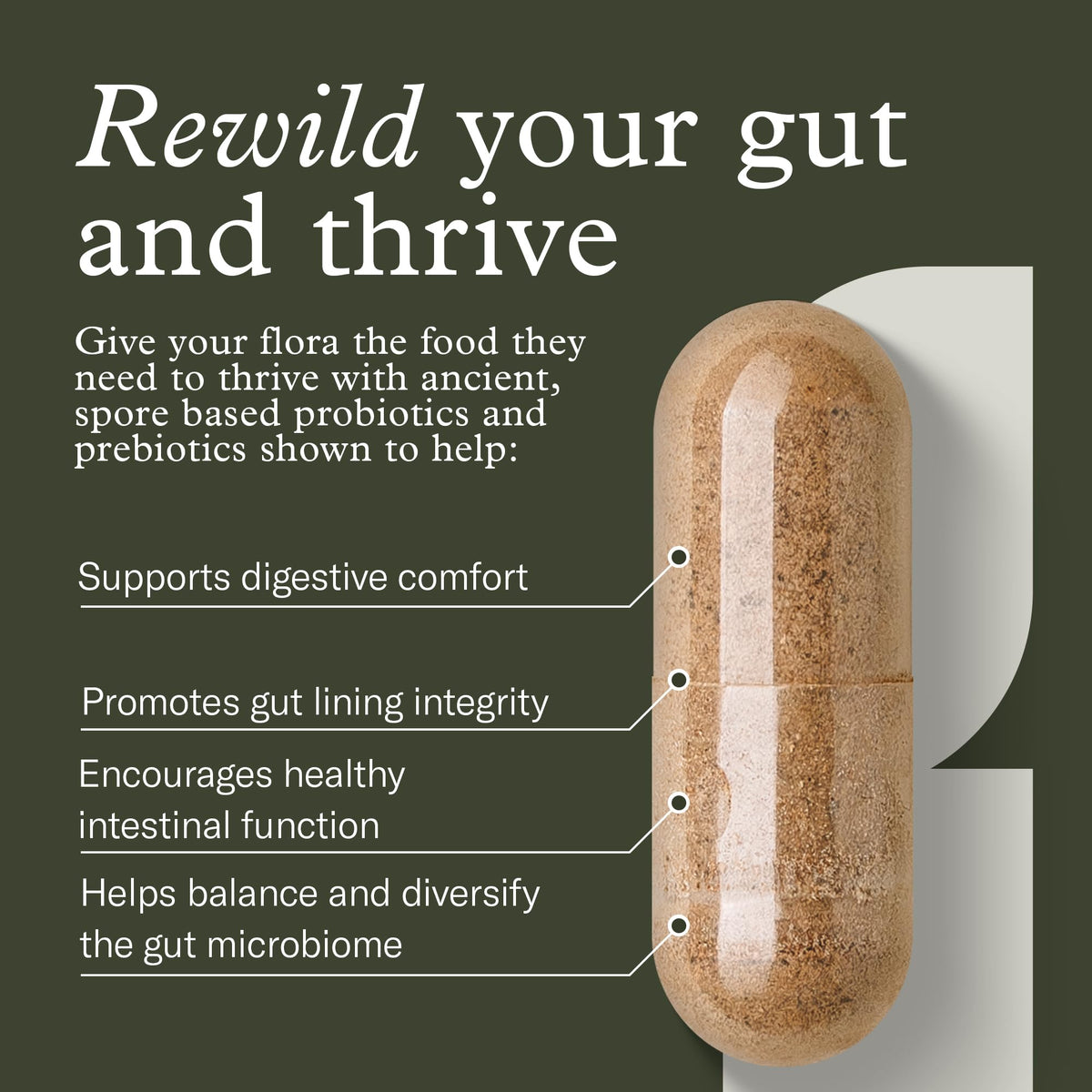 Terraflora Advanced Care Synbiotic, capsules sur une surface en bois