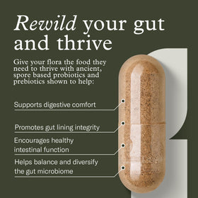 Terraflora Advanced Care Synbiotic, capsules sur une surface en bois