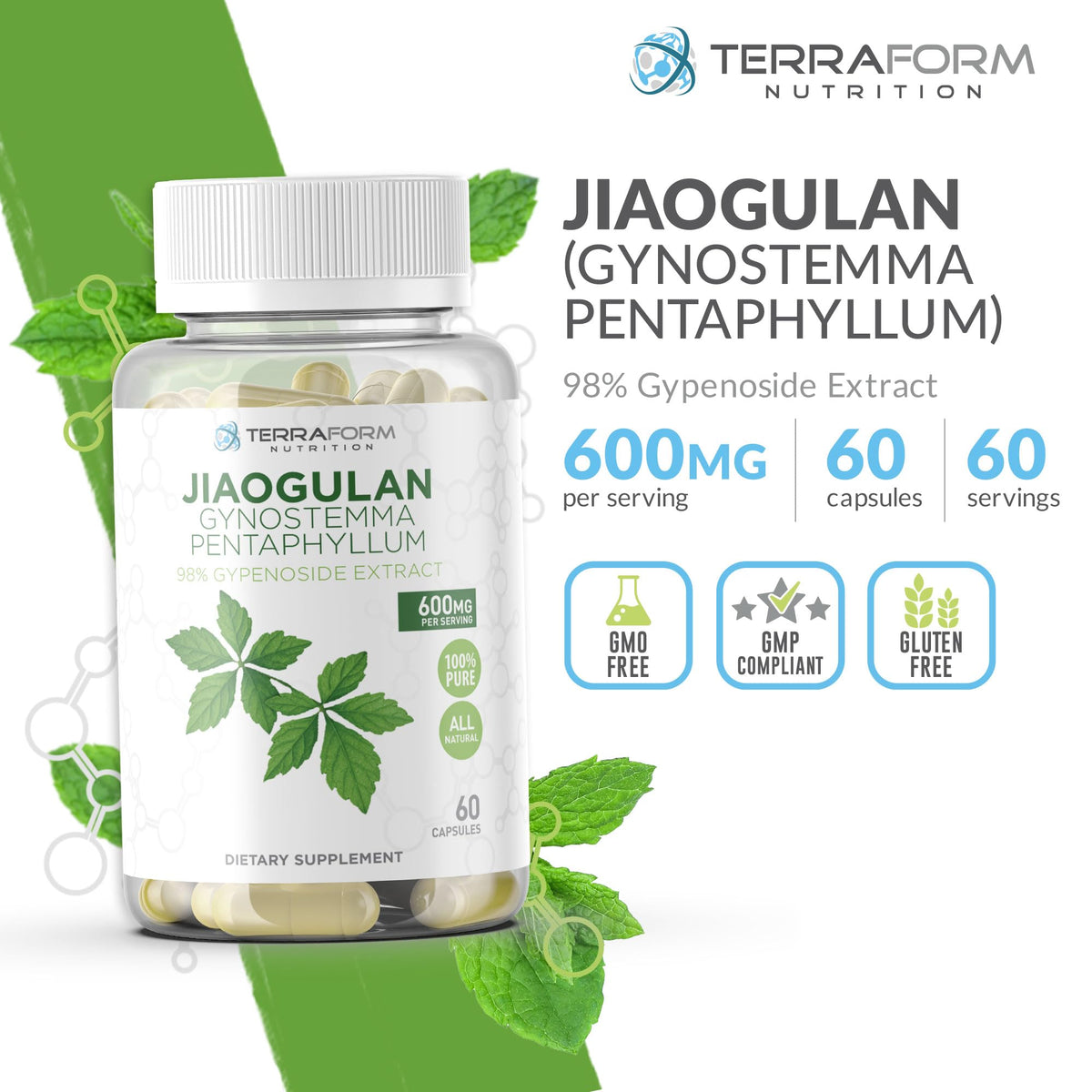 TerraForm Nutrition Gynostemma Pentaphyllum capsules vues de près