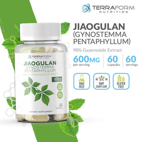 TerraForm Nutrition Gynostemma Pentaphyllum capsules vues de près
