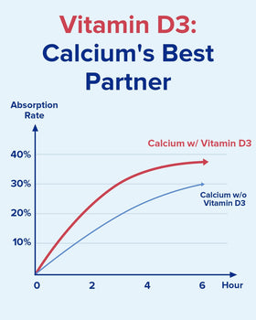 Terranics Calcium comprimés, présentation sur une table