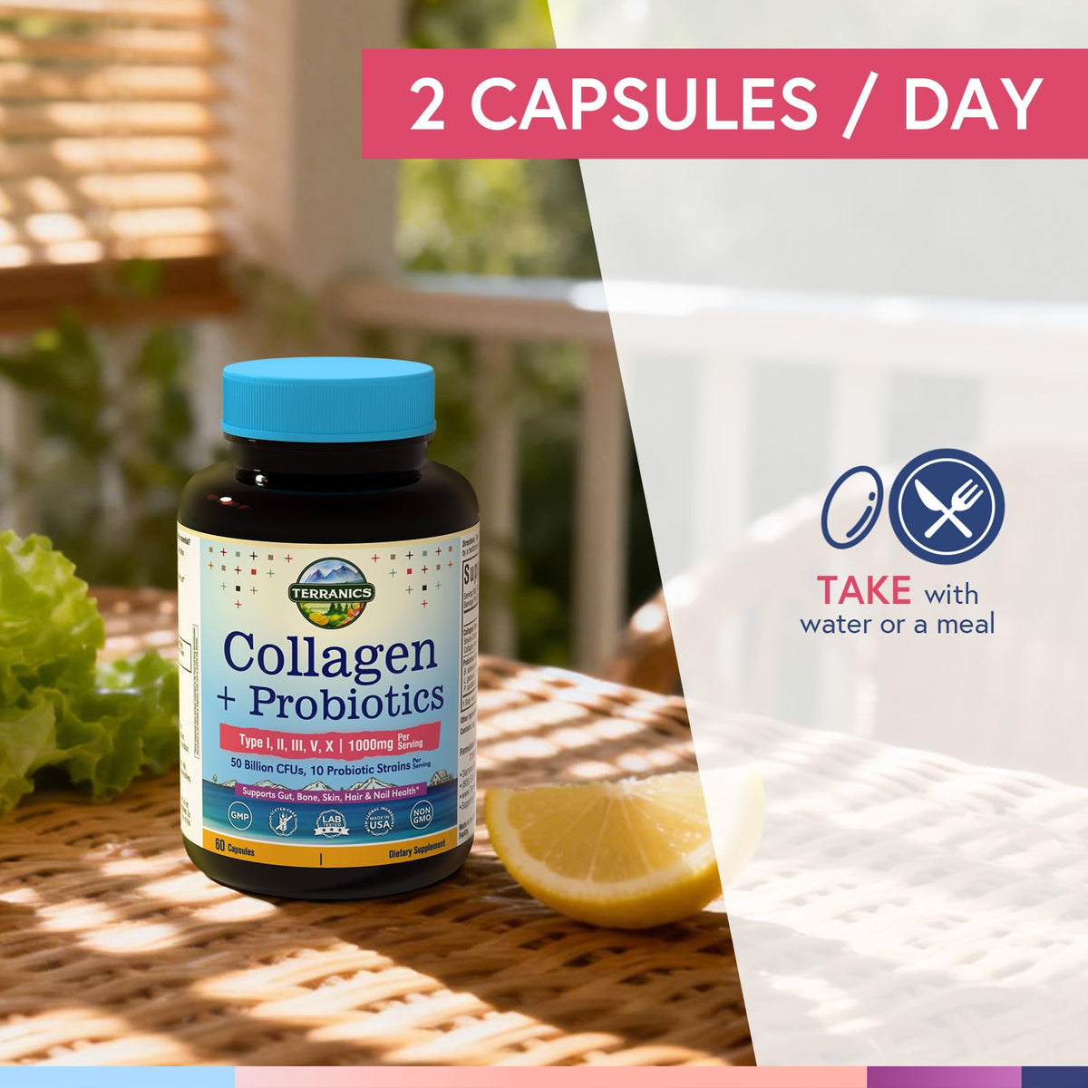 Terranics Collagène Multi Peptides 1000 mg capsules in a hand