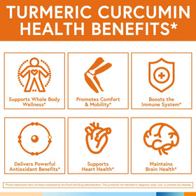 Terranics Curcuma 1800mg dans un environnement naturel