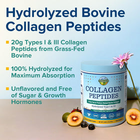 Terranics Poudre de Collagène Hydrolysé 581g avec cuillère