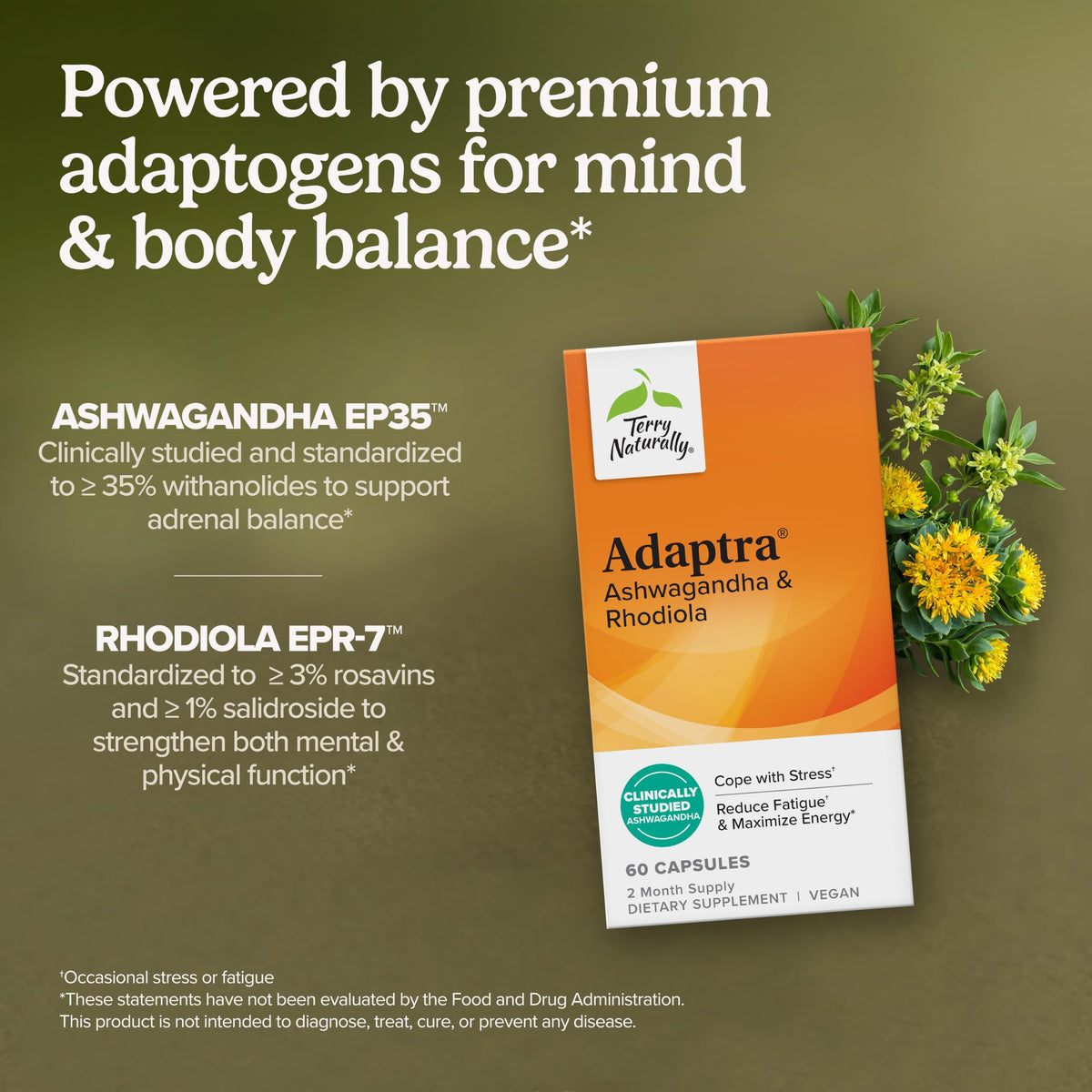 Terry Naturally Adaptra capsules sur une surface blanche