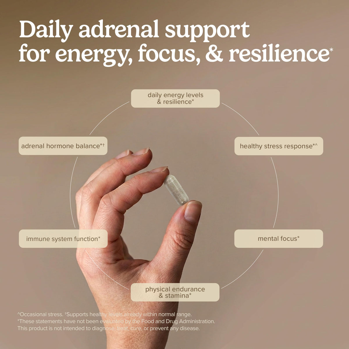 Terry Naturally Adrenaplex 60 capsules côté