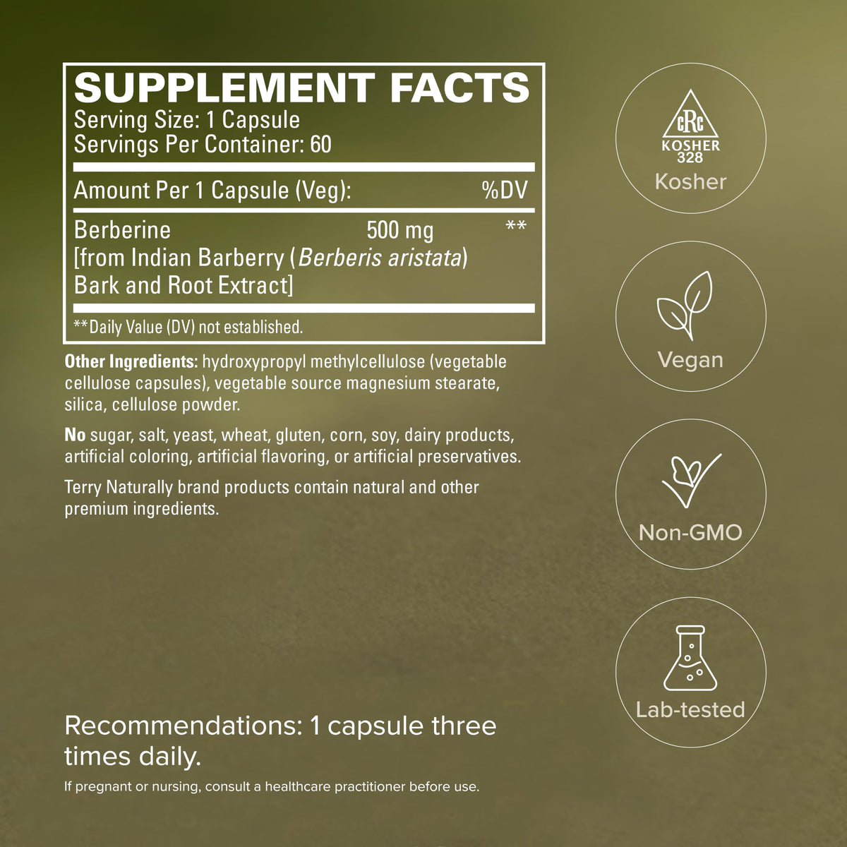 Terry Naturally Berberine 60 capsules prise en main