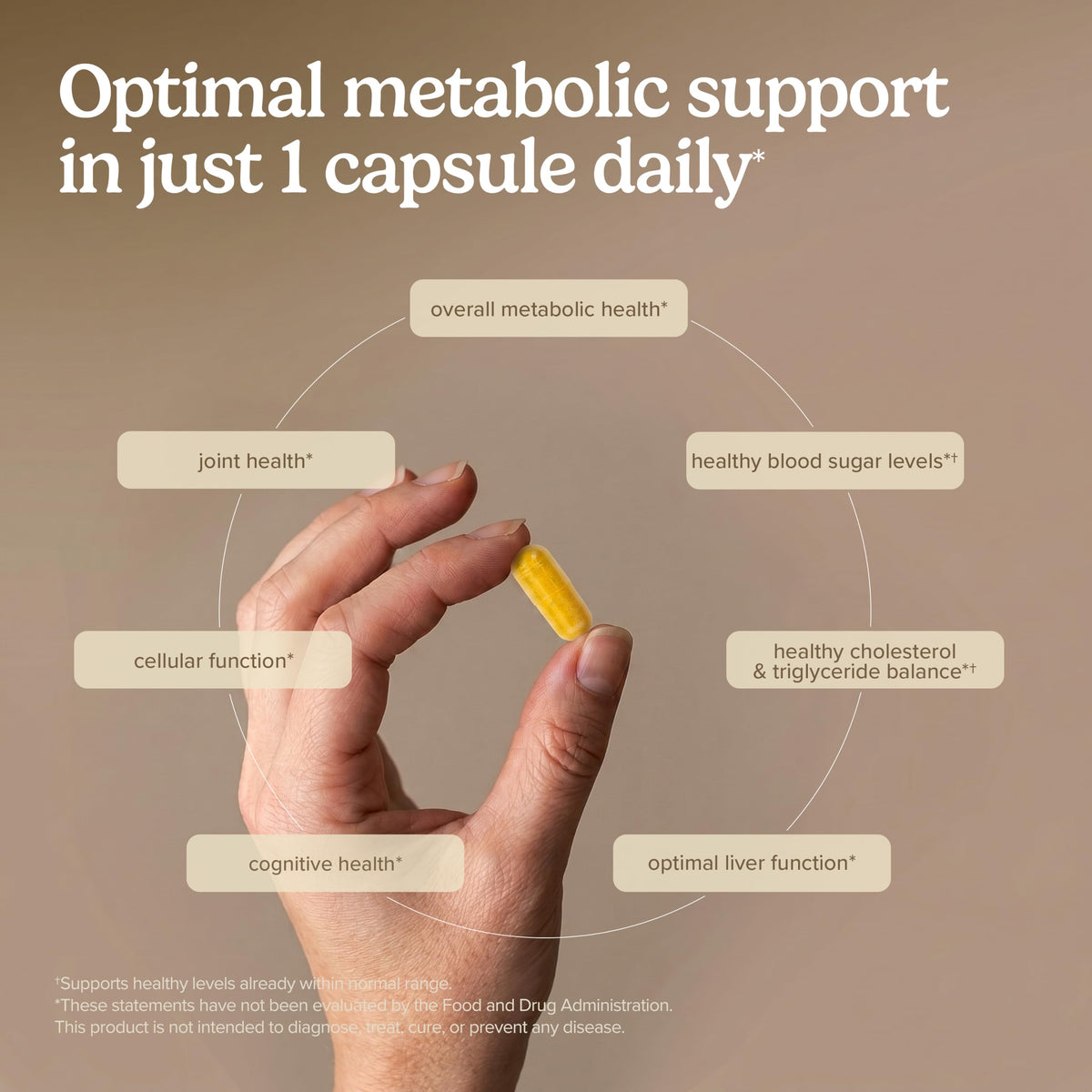 Terry Naturally Berberine MetX comprimés dans la main