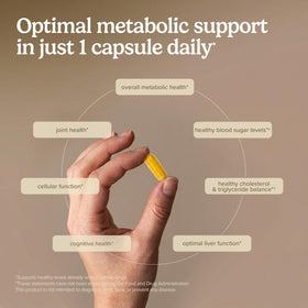 Terry Naturally Berberine MetX comprimés dans la main