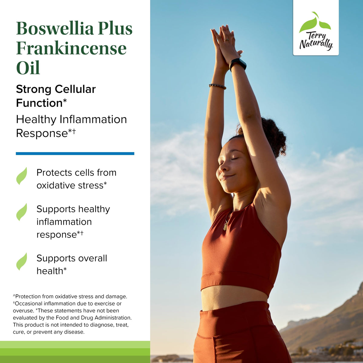 Terry Naturally Boswellia Plus, gélule sur fond blanc
