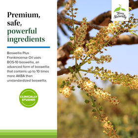 Terry Naturally Boswellia Plus, vue arrière de l'emballage