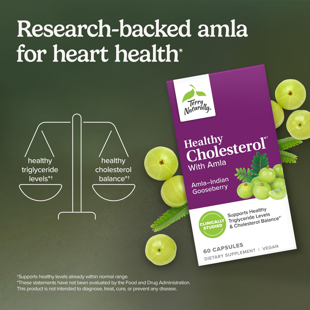 Terry Naturally Cholestérol Sain Amla 60 comprimés côté avec étiquette