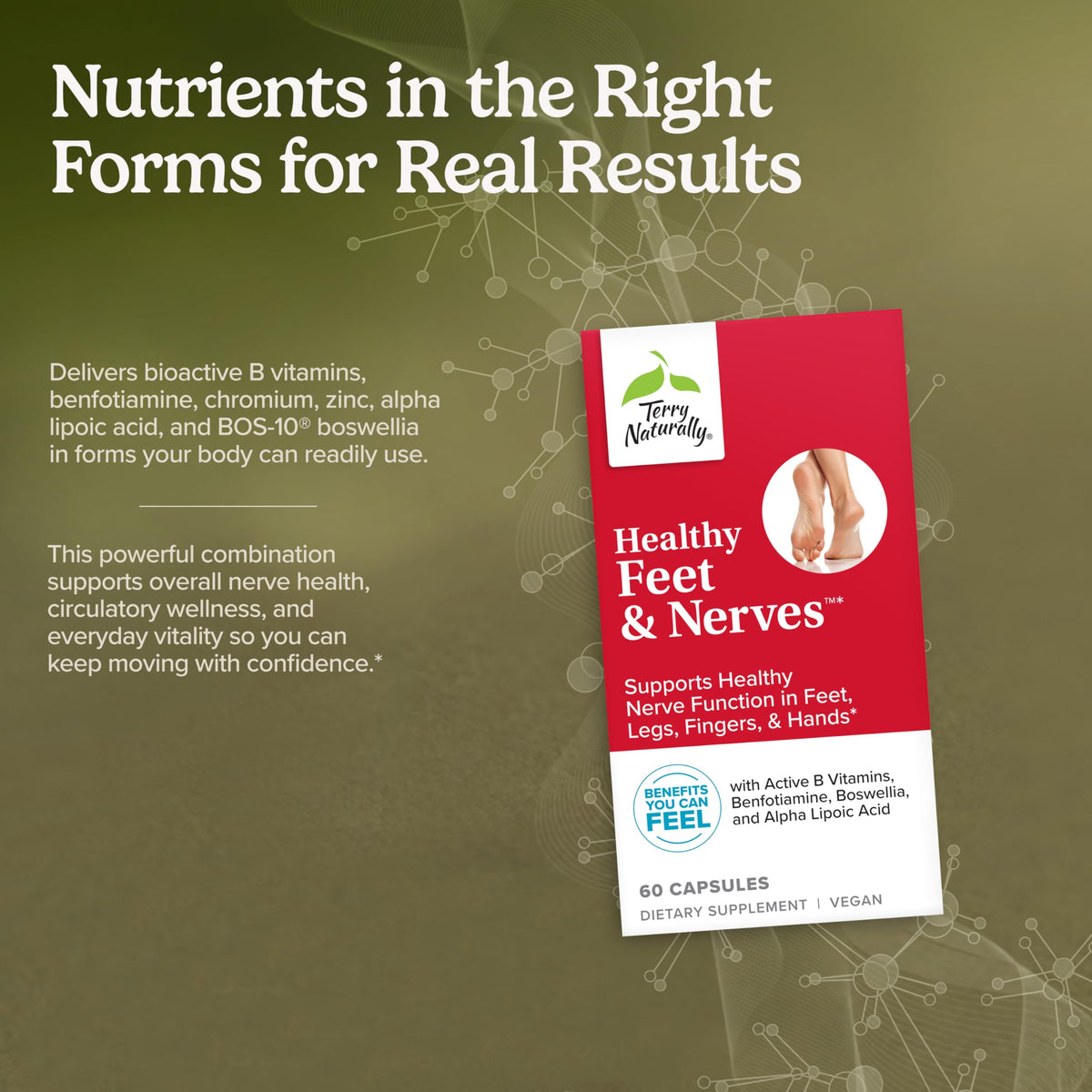 Terry Naturally Complément Alimentaire Nerveux 60 Capsules Vegan capsules sur fond blanc