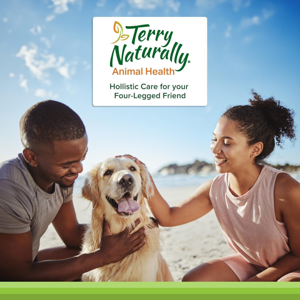 Terry Naturally complément Omega pour chiens en situation d'utilisation
