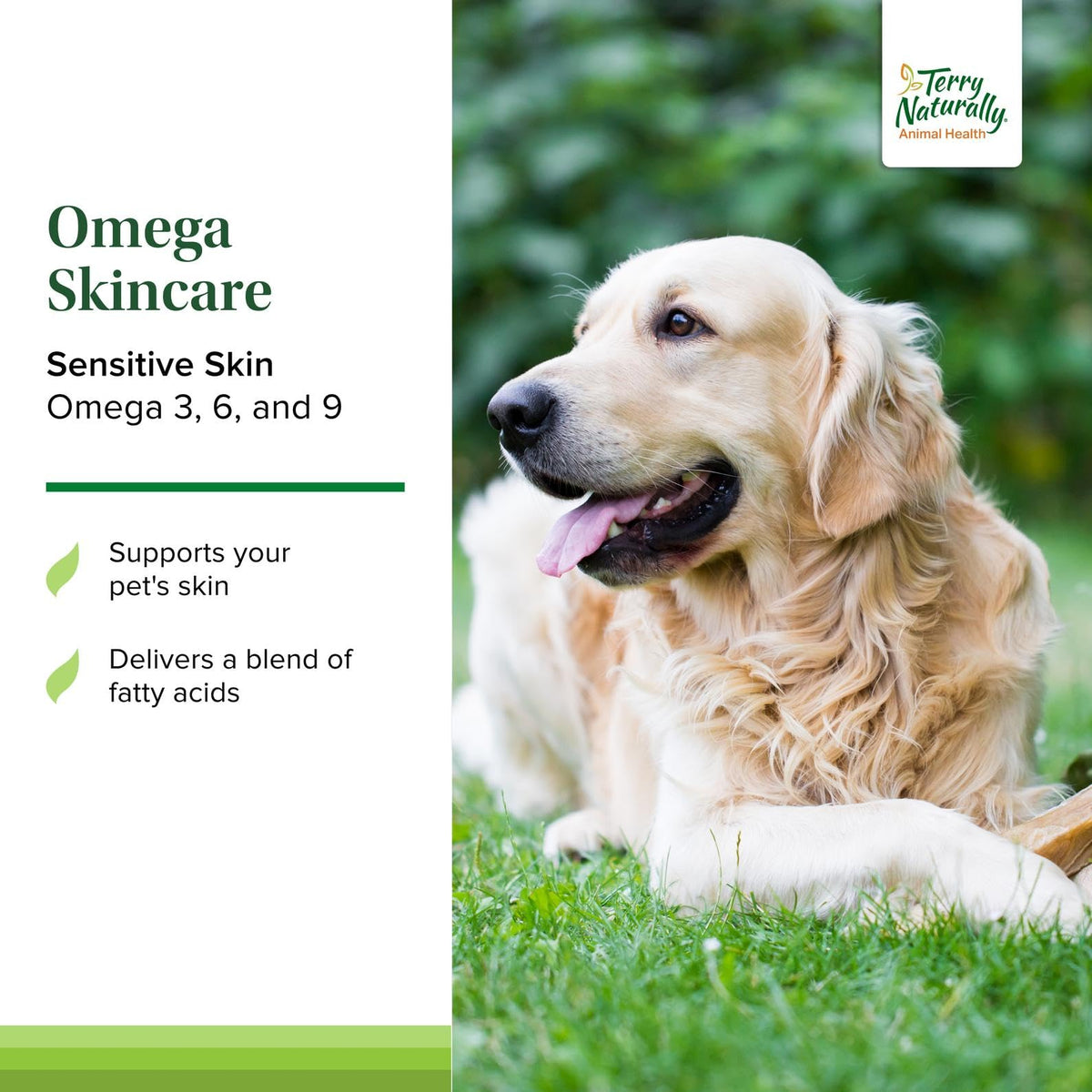 Terry Naturally complément Omega pour chiens flacon ouvert