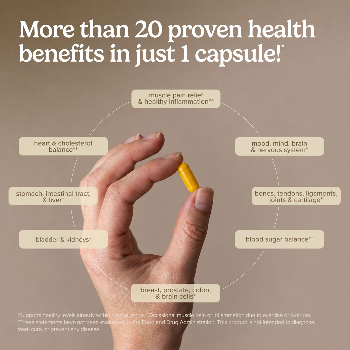 Terry Naturally CuraMed 500mg capsules ouvertes