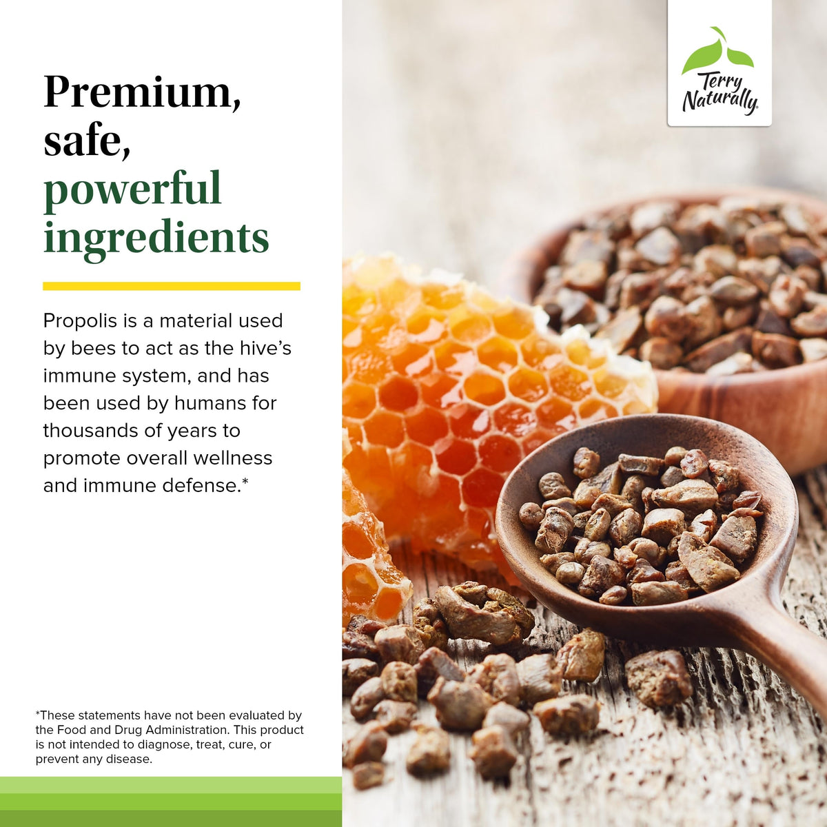 Terry Naturally Extrait de Propolis EP300 capsules en gros plan