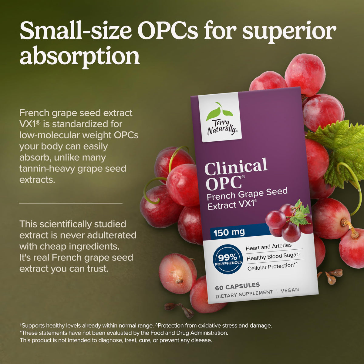 Terry Naturally OPC 150mg étiquette détaillant les ingrédients