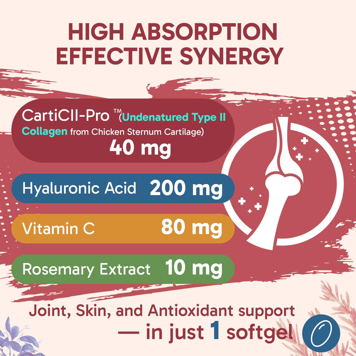 Tervaies Collagène Liposomal Type II 60 gélules avec étiquette