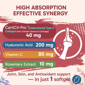 Tervaies Collagène Liposomal Type II 60 gélules avec étiquette