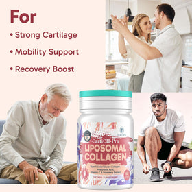Tervaies Collagène Liposomal Type II 60 gélules dans leur emballage