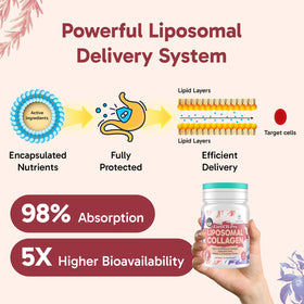 Tervaies Collagène Liposomal Type II 60 gélules ouvertes