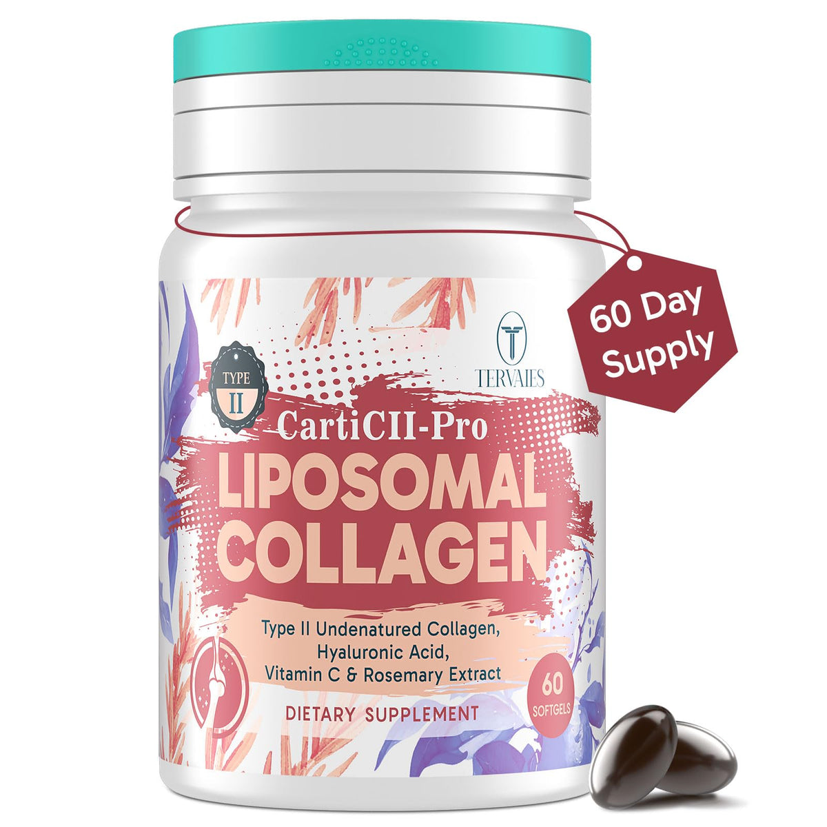Tervaies Collagène Liposomal Type II 60 gélules vue de face