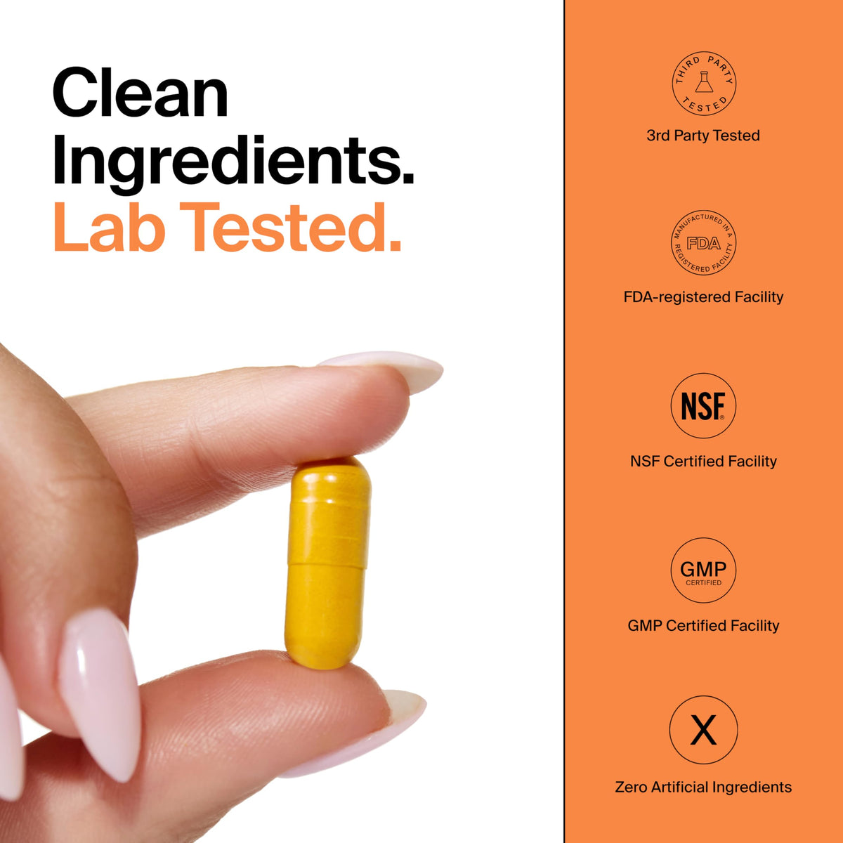The Absorption Company Curcumin capsules on a wooden table