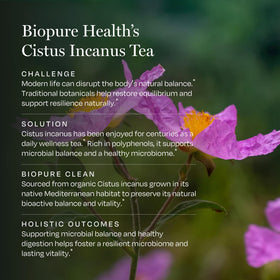 Thé Cistus Incanus BioPure infusé dans une tasse