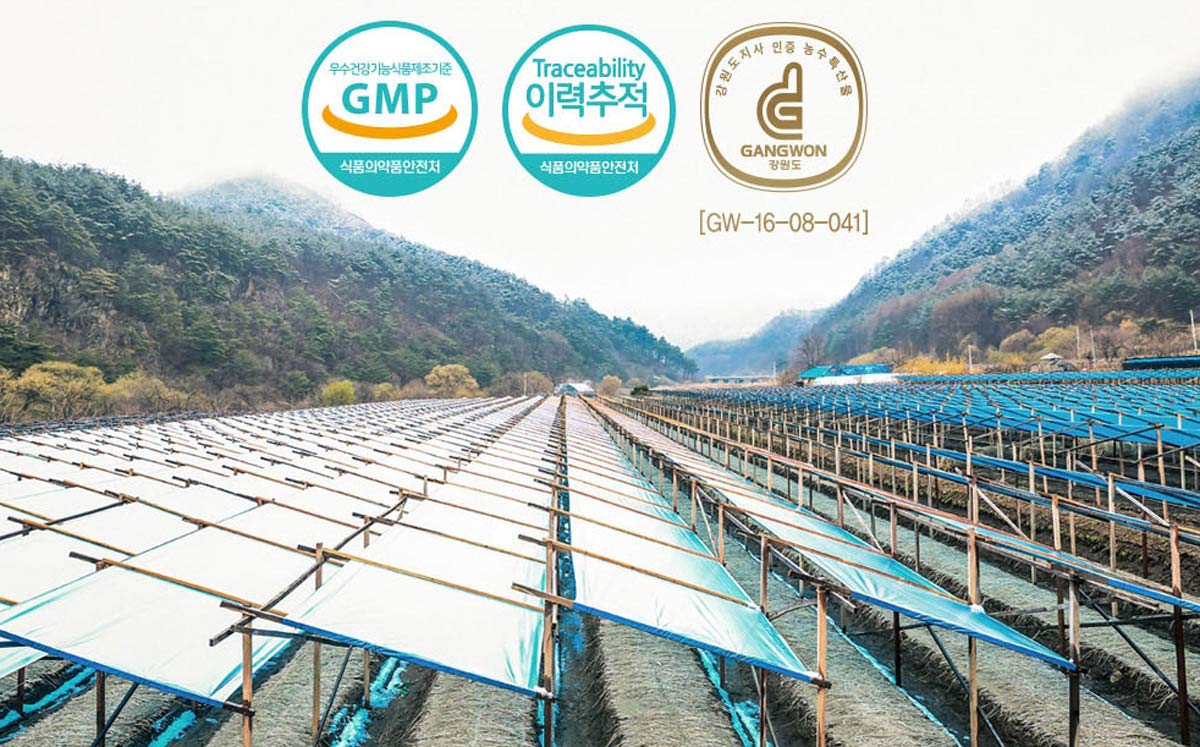 Thé de ginseng rouge coréen Gangwoninsam préparation