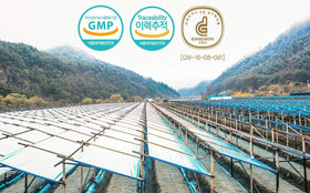 Thé de ginseng rouge coréen Gangwoninsam préparation