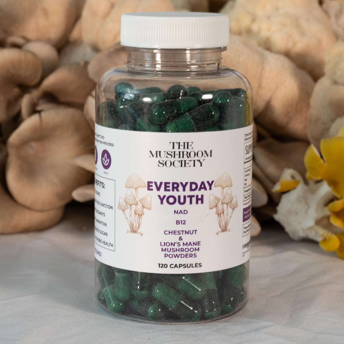 The Mushroom Society Everyday Youth packaging side view